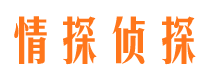 宝兴找人公司